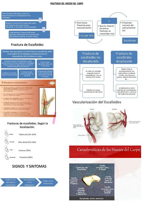 Solution Ortopedia Y Traumatologia Fracturas Y Lesiones Nerviosas