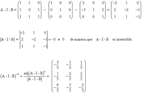 Ejercicios Resueltos De Ecuaciones Matriciales Con Determinantes