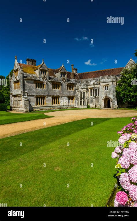 Flowering Hydrangeas In Front Of Athelhampton House Puddletown Dorset