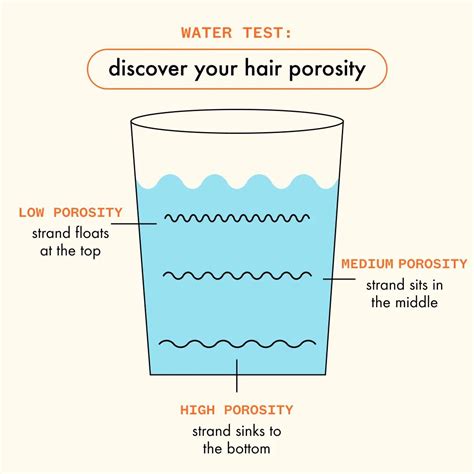 Hair Porosity 101 Amika