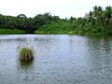 Buada Lagoon in Nauru 3rd Smallest Country in the World in Nauru- 3rd Smallest Country in the ...