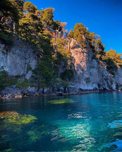 Bosque Sumergido Conoce Este Misterioso Lugar De La Patagonia