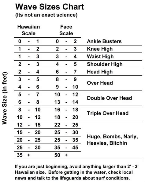 Surfer 13 scale - lanasany