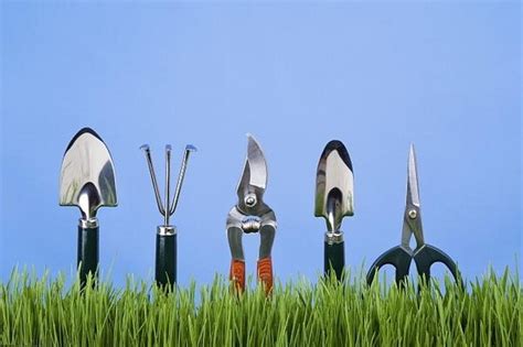 Инструмент для дачи: что нужно, а что не нужно | Моя дача