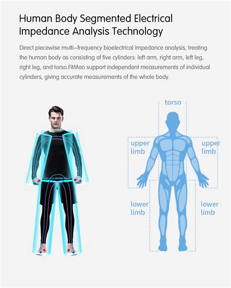 New Style Body Composition Analyzer, One-stop Solution for You