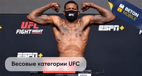 Категории ufc