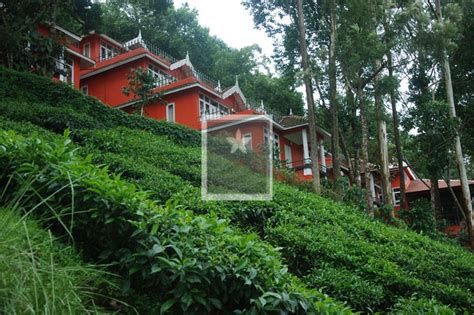 Tea Valley Resort Munnar,Tea Valley Resort Munnar tariff | Munnar Resorts list