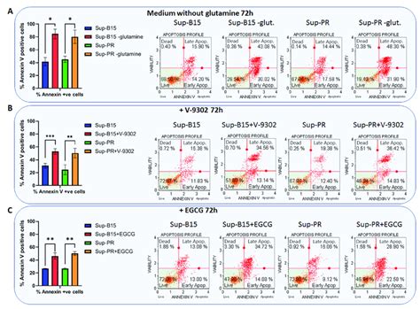 Targeting Glutamine Metabolism Induces Apoptosis In Call Cell Lines