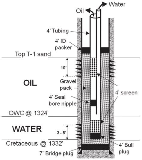 Schematics Of Dws Well With Packer Less Dual Completion Download