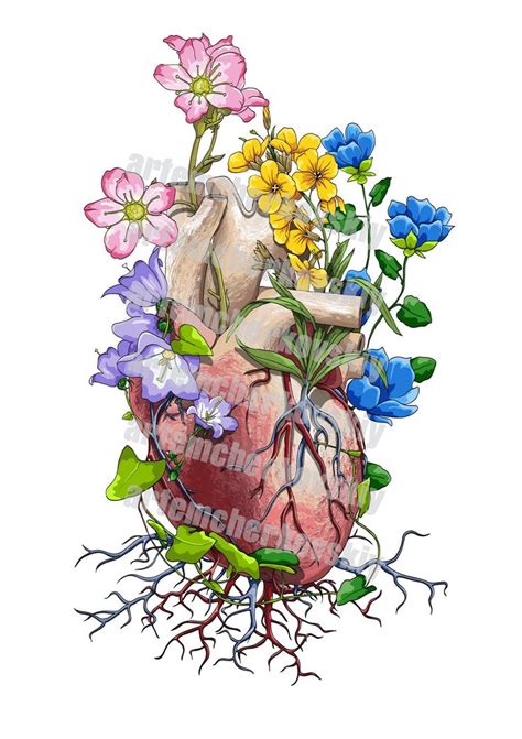 Works For CODEX ANATOMICUS FLORAL On Behance Anatomy Art Drawings