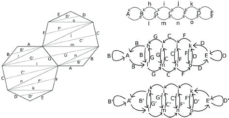 The double heptagon with auxiliary and primed diagonals drawn in, and ...