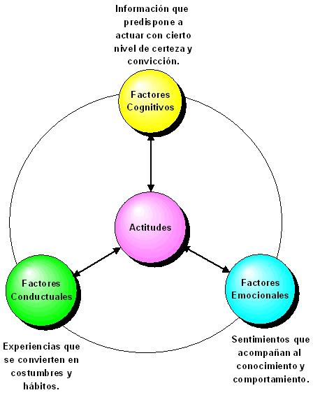 Psicología Social Actitudes Estructura Y Funciones