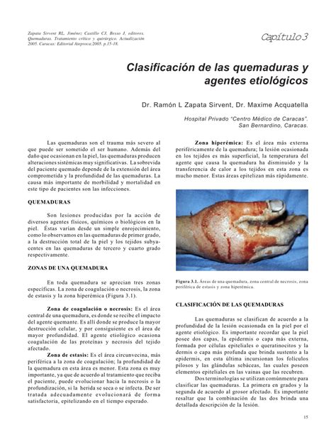 Pdf Clasificación De Las Quemaduras Y Agentes Etiológicos