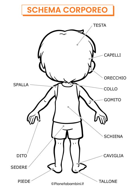 Schema Corporeo Da Stampare E Colorare PianetaBambini It