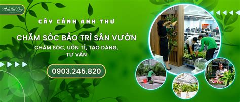 cay cay canh anh thu