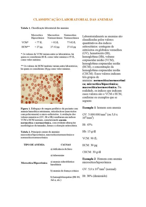 Anemias Classifica O Esquemas Y Mapas Conceptuales Hematolog A