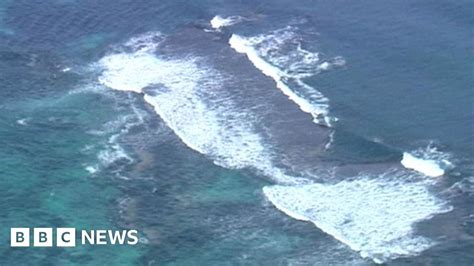 Australia shark attacks: Second person killed - BBC News