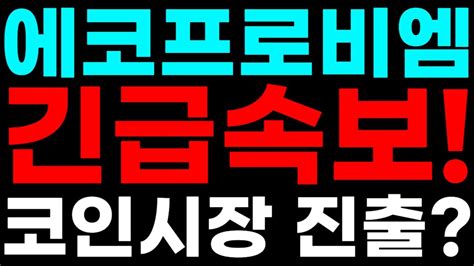 에코프로비엠 긴급속보 코인시장 진출 에코프로비엠 2차전지 2차전지관련주 배터리 리튬종목 Msci 박순혁