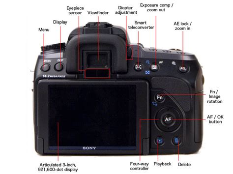 Sony A550 Digital Camera Review - Reviewed
