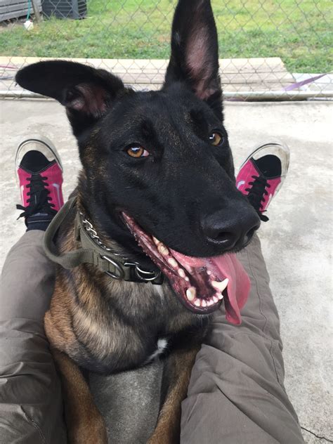 Cabarrus County Sheriff's Office - Home | Facebook