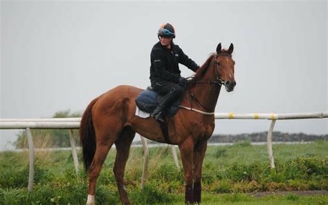 Racing Welfare Supporting Racing S Workforce