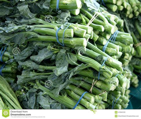 Kai-lan, Gai-lan, Chinese Broccoli Stock Photo - Image: 41094103