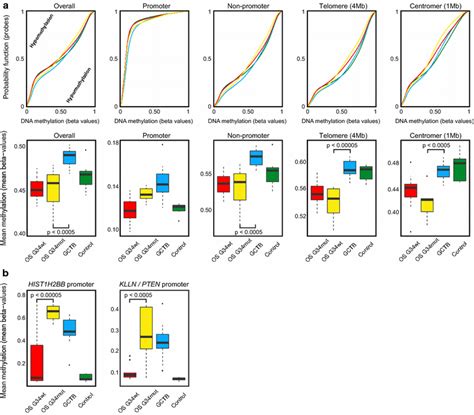 Distinct DNA Methylation Patterns In Osteosarcoma Subgroups And Giant