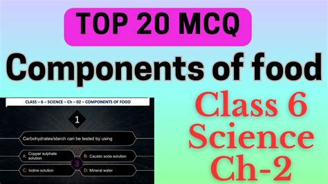 Most Important Mcqs On Class Science Ch Components Of Food Youtube