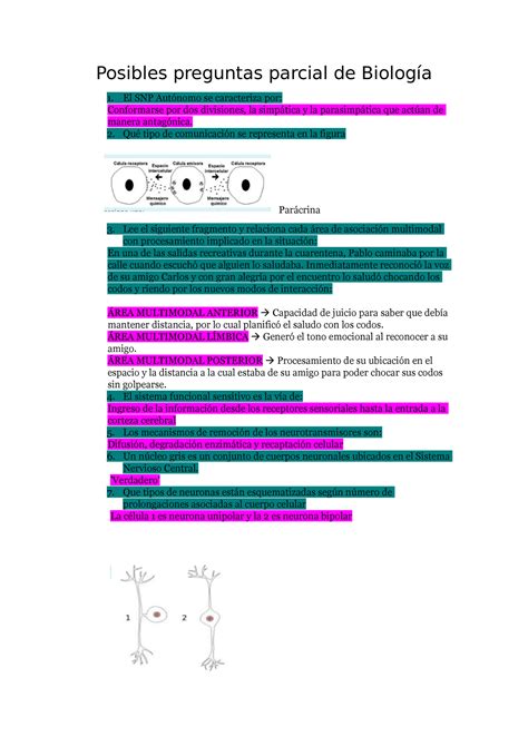 Posibles Preguntas Parcial De Biolog A Biolog A Humana Unmdp Studocu