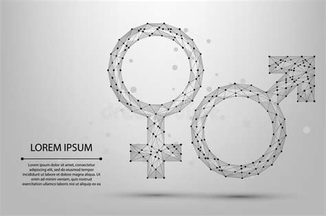 Abstract Mesh Line And Point Male And Female Symbols Low Poly Wireframe Sex Concept Stock