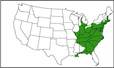 13 Types Of Turtles Found In Pennsylvania ID Guide Bird Watching HQ