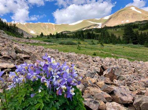 13 Best Fall Hikes Near Denver CO - Delightfully Denver