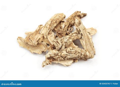 Dang Gui Ginseng Angelica Sinensis Stock Image Image Of Health