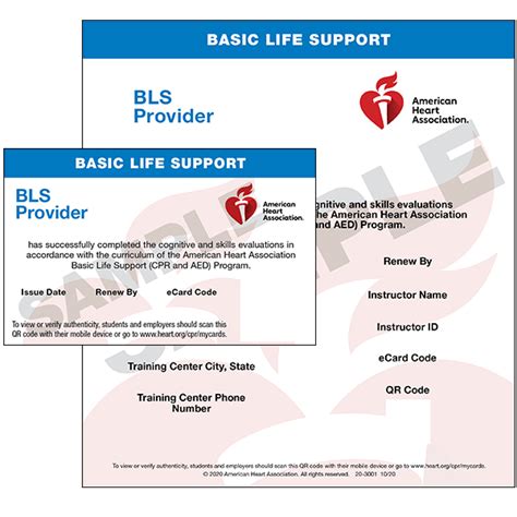 Basic Life Support Bls 208 Medical