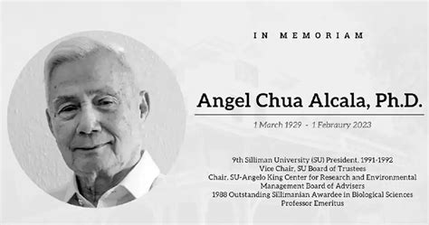 Marine Scientist Ramon Magsaysay Awardee Angel Alcala Dies At 93