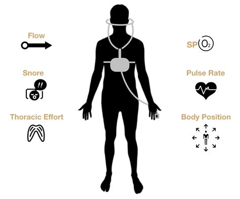 Cpap Trials And Rentals