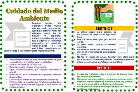 D Pticos Del Medio Ambiente Descargar