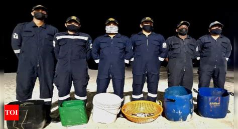 Coast Guard Seizes Kg Of Sea Cucumbers From Smugglers In Tn