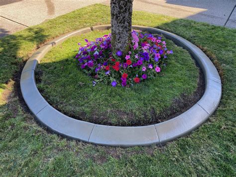 Custom Concrete Curbing Olympia Wa Curb Appeal Northwest