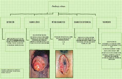 Mapa Cinceptual De Amebiasis Cutanea Dermatologia Definici N