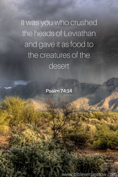 What is Leviathan in the Bible? Meaning and 10 Bible Reverences – Bible ...