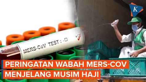 Who Peringatkan Potensi Wabah Mers Cov Di Arab Saudi Saat Musim Haji