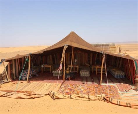 The History Of The Bedouin Tent in 2023 And Why Our Tents Reflect Their Design | Schupepe Tents