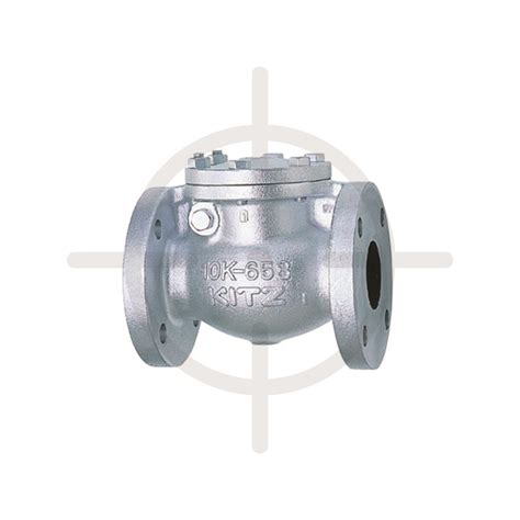 Kitz Swing Check Valve Cast Iron Fco Tujhuan Website