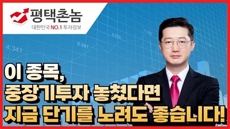 급등주 포스코엠텍 리튬 2차전지 포스코퓨쳐엠 포스코홀딩스 에코프로 에코프로비엠 엘앤에프 금양 주식투자