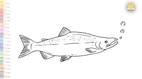 Sockeye Salmon Fish Drawing Easy How To Draw Salmon Fish Step By Step