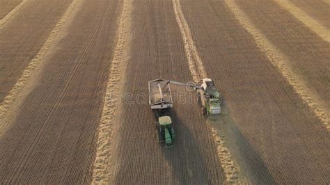 Harvesting of Grain Crops.Harvesting Wheat,oats and Barley in Fields ...