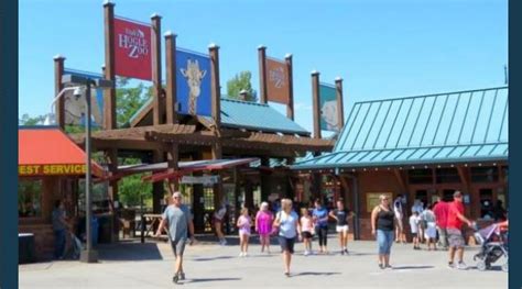 Guests invited to watch Hogle Zoo animals feast | Gephardt Daily