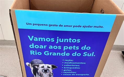 A Importância Do Check Up Veterinário Para A Saúde Animal