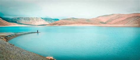 A Guide to Ladakh Pangong Lake